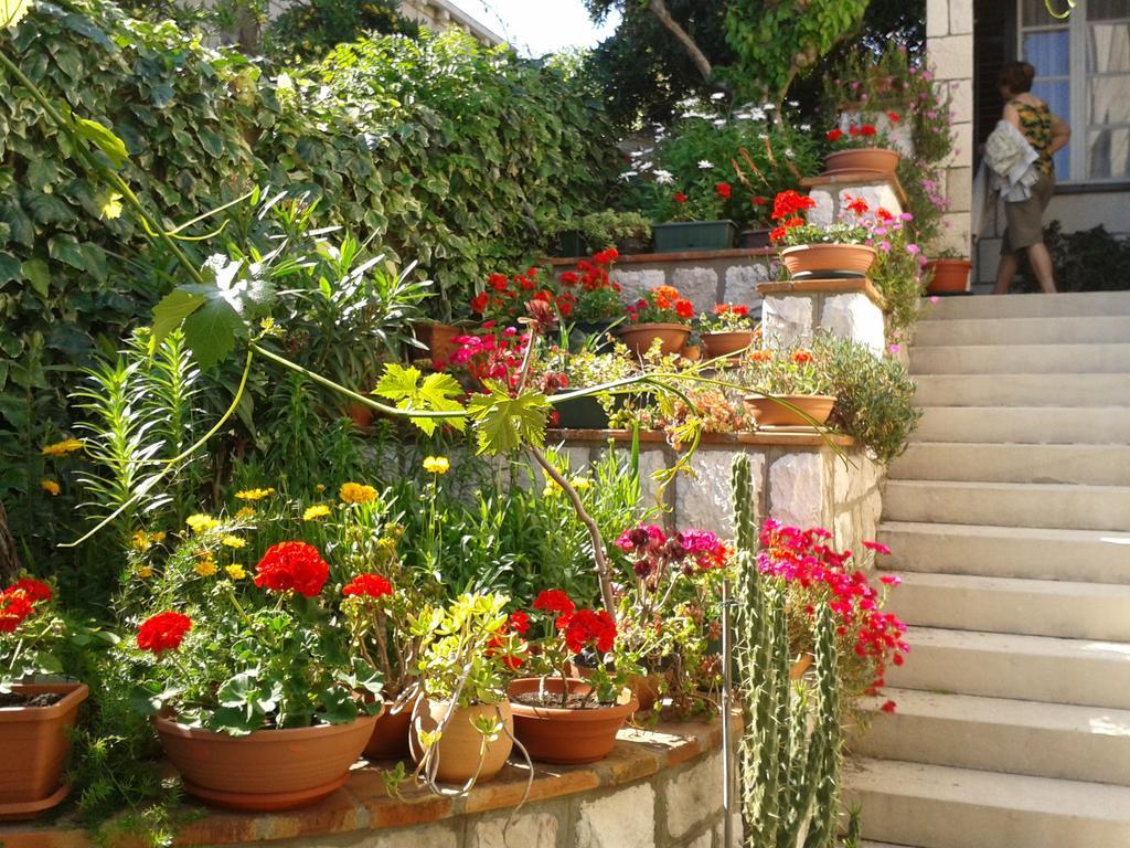 Cvetka Dubrovnik