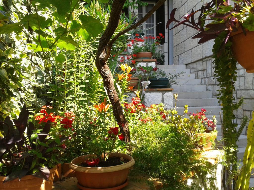 Rooms Cvetka Guest house Dubrovnik