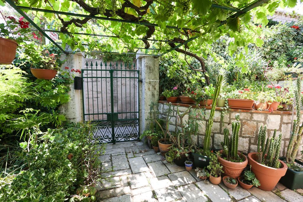 Rooms Cvetka Guest house Dubrovnik